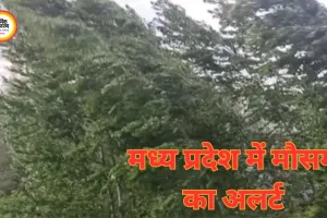 मध्य प्रदेश में मौसम का अलर्ट: 42 जिलों में आंधी-बारिश-ओलावृष्टि, 9 जिलों में ऑरेंज चेतावनी