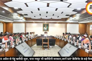 9 अप्रैल से गेहूं खरीदी शुरू, चना-मसूर भी खरीदेगी सरकार, जानें MP कैबिनेट के बड़े फैसले