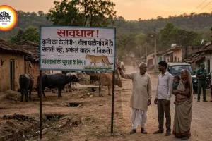 कूनो से निकला KGP-1 चीता फिर घाटीगांव पहुंचा, गांवों में बढ़ाई गई सतर्कता
