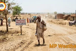 MP Weather Alert: मध्य प्रदेश में भीषण गर्मी का कहर, पहली बार 43°C पार; कई जिलों में हीटवेव अलर्ट