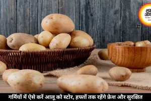 गर्मियों में ऐसे करें आलू को स्टोर, हफ्तों तक रहेंगे फ्रेश और सुरक्षित