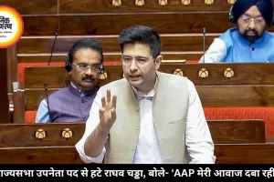 राज्यसभा उपनेता पद से हटे राघव चड्ढा, बोले- 'AAP मेरी आवाज दबा रही'