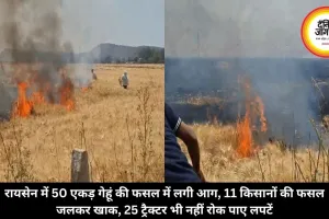रायसेन में 50 एकड़ गेहूं की फसल में लगी आग, 11 किसानों की फसल जलकर खाक, 25 ट्रैक्टर भी नहीं रोक पाए लपटें