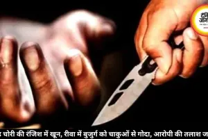 पेड़ चोरी की रंजिश में खून, रीवा में बुजुर्ग को चाकुओं से गोदा, आरोपी की तलाश जारी