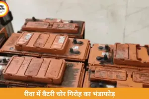 रीवा में अंतरराज्यीय बैटरी चोर गिरोह का भंडाफोड़, तीन गिरफ्तार
