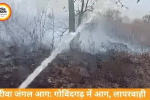 रीवा के गोविंदगढ़ जंगलों में आग, मानवीय लापरवाही की आशंका