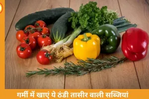 गर्मी में इन सब्जियों का सेवन रखें शरीर को ठंडा, पाचन रहेगा दुरुस्त