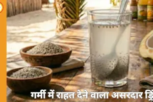गर्मी में हाइड्रेशन का असरदार उपाय: नारियल पानी और सब्जा सीड्स का कॉम्बिनेशन देगा तुरंत राहत