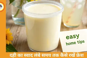 गर्मी में दही जल्दी खट्टा होने से बचाएं: अपनाएं ये आसान घरेलू टिप्स, लंबे समय तक रहेगा ताजा और स्वादिष्ट