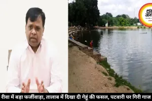 रीवा में बड़ा फर्जीवाड़ा, तालाब में दिखा दी गेहूं की फसल, पटवारी पर गिरी गाज