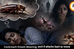 सपने में बार-बार कॉकरोच दिखना क्या देता है संकेत? जानिए इसका असर