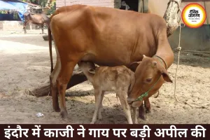 इंदौर में ईद पर काजी की अपील, गाय को राष्ट्रीय धरोहर घोषित करें
