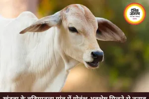 खंडवा के बड़ियातुला गांव में अवशेष मिलने से तनाव फैला, पुलिस तैनात