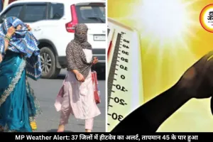 एमपी में भीषण गर्मी का कहर, 37 जिलों में लू का अलर्ट जारी