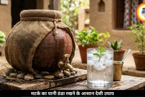 मटके का पानी रहेगा बर्फ जैसा ठंडा, गर्मी में अपनाएं ये आसान देसी उपाय