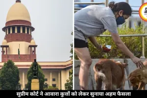 सुप्रीम कोर्ट का बड़ा आदेश: सार्वजनिक जगहों से हटेंगे आवारा कुत्ते, सड़कों पर खाना खिलाना भी बंद