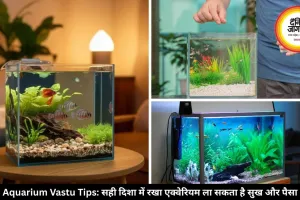 घर में एक्वेरियम रखने से पहले जान लें वास्तु नियम, वरना हो सकता है नुकसान