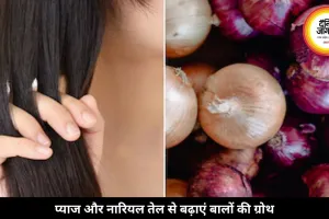 प्याज और नारियल तेल से बढ़ सकती है बालों की ग्रोथ, ऐसे करें इस्तेमाल