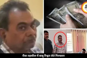 रीवा तहसील कार्यालय में रिश्वत लेते बाबू गिरफ्तार, 80 हजार मांगने का आरोप