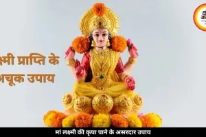 लक्ष्मी प्राप्ति के अचूक उपाय: शुक्रवार को करें ये काम, दूर होगी आर्थिक तंगी