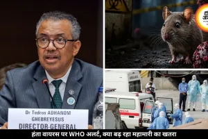 हंता वायरस को लेकर WHO ने दिया अलर्ट, क्या दुनिया पर फिर मंडरा रहा कोरोना जैसी महामारी का खतरा?