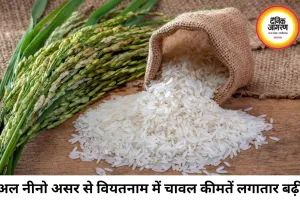 मौसम की मार से एशियाई चावल बाजार में हलचल, भारत में कीमतें फिलहाल स्थिर