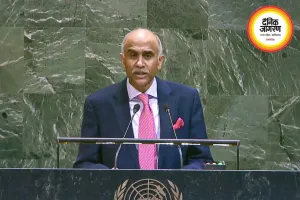 भारत ने मर्चेंट शिपिंग पर हमलों की कड़ी निंदा की, UNSC में शांति का आह्वान