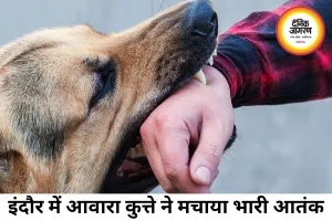 इंदौर में आवारा कुत्ते का आतंक