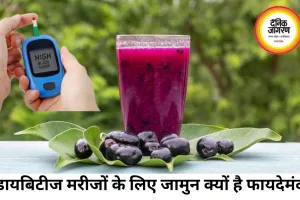डायबिटीज मरीजों के लिए क्यों खास है जामुन? ब्लड शुगर कंट्रोल से लेकर दिल की सेहत तक पहुंचाता फायदे