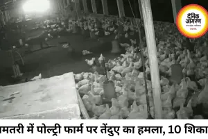 पोल्ट्री फार्म में घुसा तेंदुआ, 10 मुर्गियों का किया शिकार