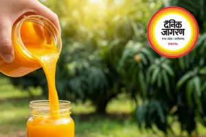 गर्मियां खत्म होने के बाद भी ले सकेंगे आम का मजा, स्टोर करने के लिए अपनाएं ये आसान ट्रिक