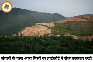 जंगलों के 10 किमी दायरे में आरा मिलों पर रोक बरकरार, हाईकोर्ट ने 19 याचिकाएं खारिज कीं