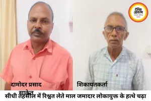 सीधी में लोकायुक्त का बड़ा एक्शन: नामांतरण के बदले 3 हजार की रिश्वत लेते तहसील का माल जमादार रंगे हाथ गिरफ्तार