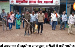 मझगवां अस्पताल के डॉक्टर कक्ष में घुसा जहरीला सांप, वन विभाग ने रेस्क्यू कर टाला बड़ा हादसा