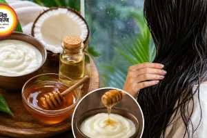मानसून में रूखे और बेजान बालों से हैं परेशान? दही और शहद का 3-इंग्रीडिएंट हेयर मास्क दे सकता है राहत