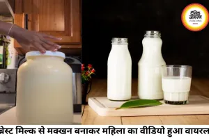 अपने ही दूध से महिला ने बनाया मक्खन, सोशल मीडिया पर वायरल वीडियो ने छेड़ी नई बहस