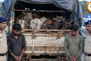 दुर्ग में 15 मवेशियों से भरा वाहन पकड़ा, MP के कत्लखाने ले जाने का आरोप