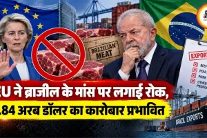 EU ने ब्राजील के मांस पर लगाई रोक, 1.84 अरब डॉलर का कारोबार प्रभावित