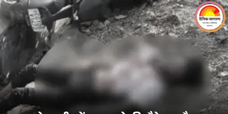 बिलासपुर में बाइक-स्कूटी की भीषण टक्कर: दो की मौत, एक बुजुर्ग गंभीर; नशे में तेज रफ्तार चला रहा था बाइक