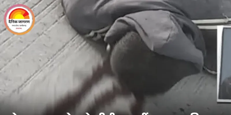 नेशनल हाईवे-130 पर तेज रफ्तार इनोवा की टक्कर से युवक की मौत: चालक फरार, कार 3 किमी दूर घर में छिपाई गई