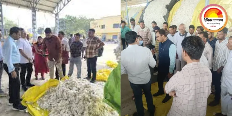 खरगोन में CCI कपास खरीदी के नियमों में बदलाव: 14 क्विंटल प्रति हेक्टेयर का मानक खत्म