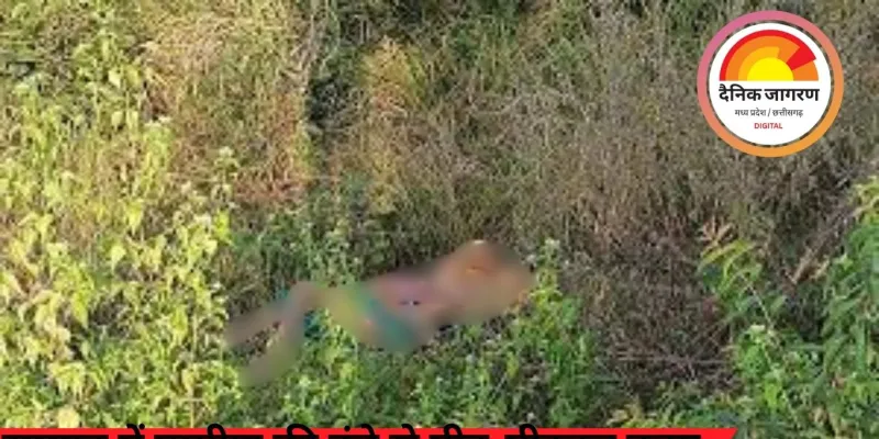 रायगढ़ में ग्रामीण की डंडे से पीट-पीटकर हत्या, सिर और प्राइवेट पार्ट में चोट के निशान