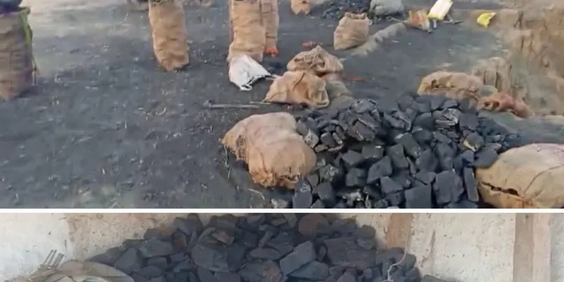 कोयला माफिया पर पुलिस का प्रहार: जंगल में छिपाया गया 3 टन अवैध कोयला जब्त, बड़ा नेटवर्क बेनकाब