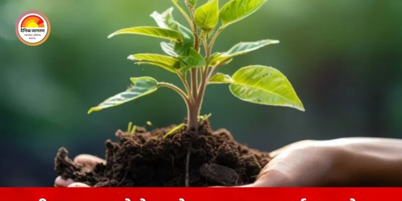 रायपुर में ‘ग्रीन पालना’ पहल: बच्चे के जन्म के साथ मां को मिलेगा पौधा, पर्यावरण से जोड़ा मातृत्व