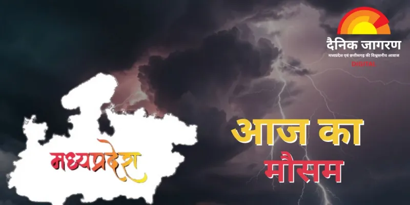 एमपी में सर्दी चरम पर: उत्तर-पश्चिमी अंचल में कोहरे की चादर, ट्रेनों की टाइमिंग बिगड़ी, 16 जनवरी से बारिश के संकेत
