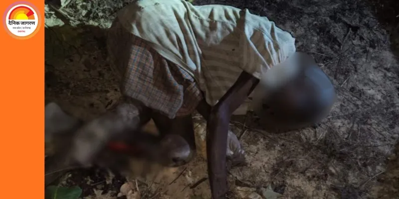 रायगढ़ में हाथी के हमले से बुजुर्ग की मौत, जंगल में बढ़ती हाथियों की संख्या से ग्रामीणों में दहशत