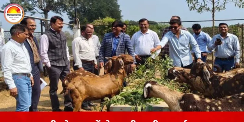 कृषि और पशुपालन से बदली ग्रामीण तस्वीर, सरकारी योजनाओं ने किसानों को बनाया उद्यमी