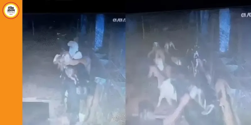 बिलासपुर में कोठे की दीवार तोड़कर 37 बकरों की चोरी, CCTV से 2 आरोपी गिरफ्तार