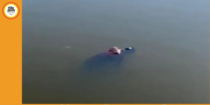 दुर्ग के पाटन तालाब में युवक का शव मिला, होली मनाने ससुराल आया था; डूबने से मौत की आशंका