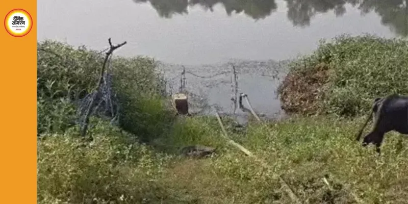 भाजपा नेता के खेत में उगाई जा रही थी अफीम, पुलिस ने उखाड़ी पूरी फसल